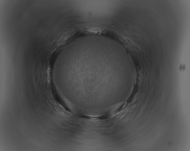 X0000090421394200707131158
