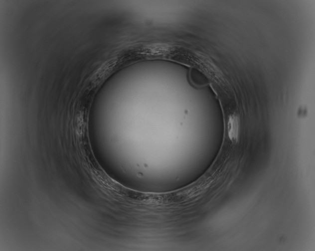X0000090421395200707131158