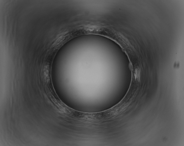 X0000090421396200707131158