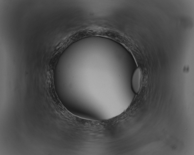 X0000090421397200707131158