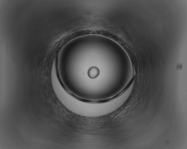 X0000090421398200707131159