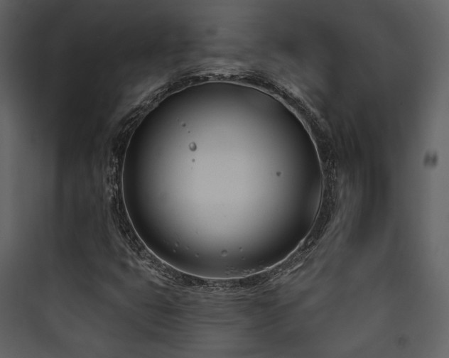 X0000090421399200707131159