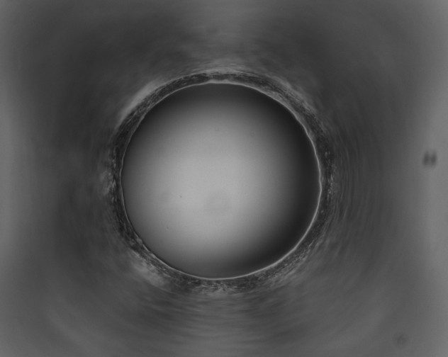 X0000090421400200707131159