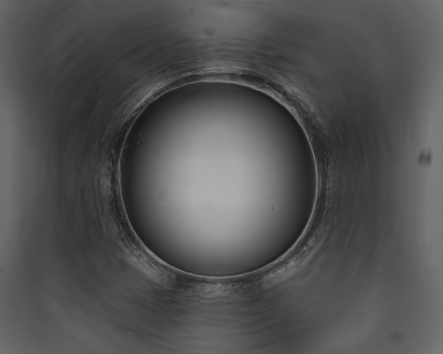 X0000090421401200707131159
