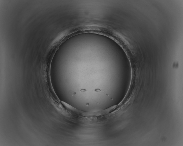 X0000090421403200707131159