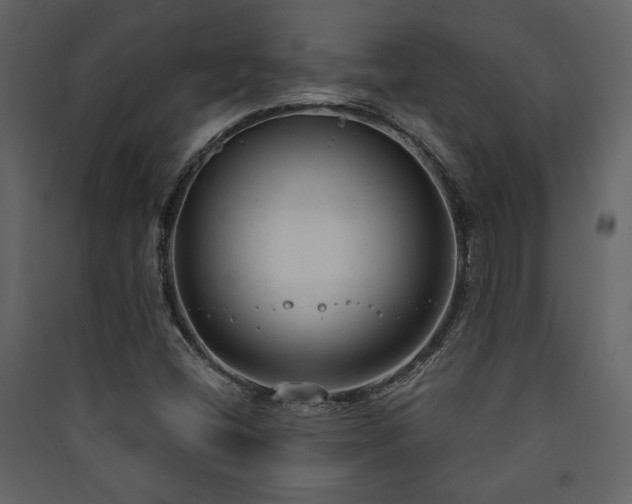 X0000090421404200707131159