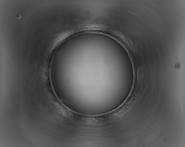 X0000090421405200707131159