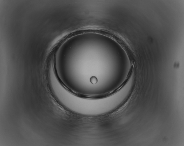 X0000090421406200707131159
