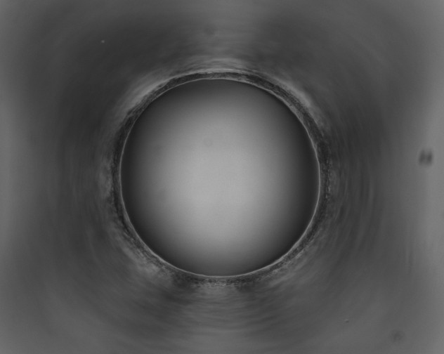X0000090421407200707131159