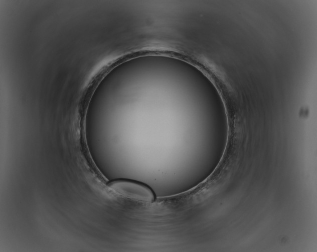 X0000090421408200707131159