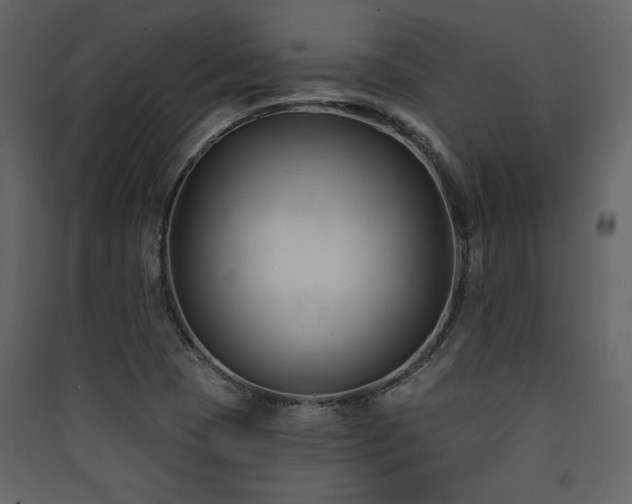 X0000090421409200707131159