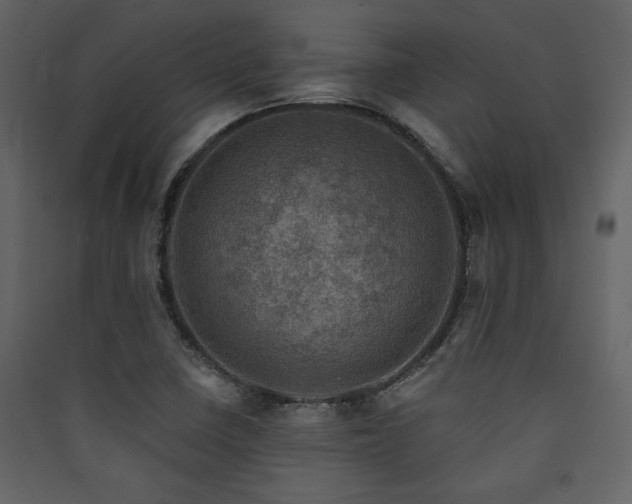 X0000090421410200707131159