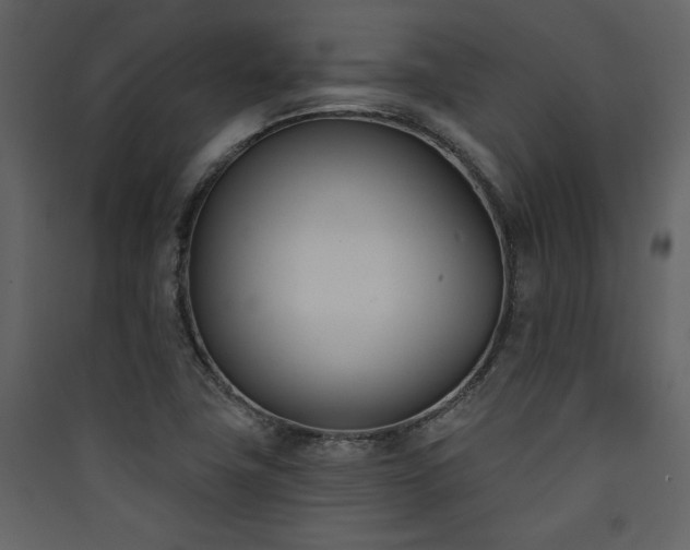 X0000090421411200707131159