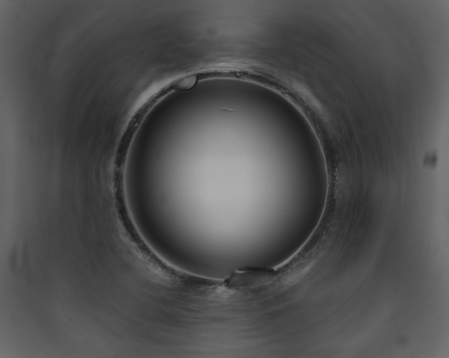 X0000090421412200707131159