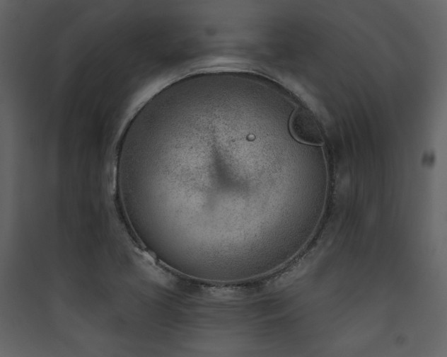 X0000090421413200707131159