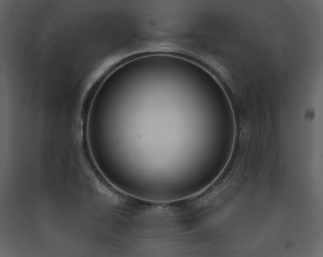 X0000090421414200707131159