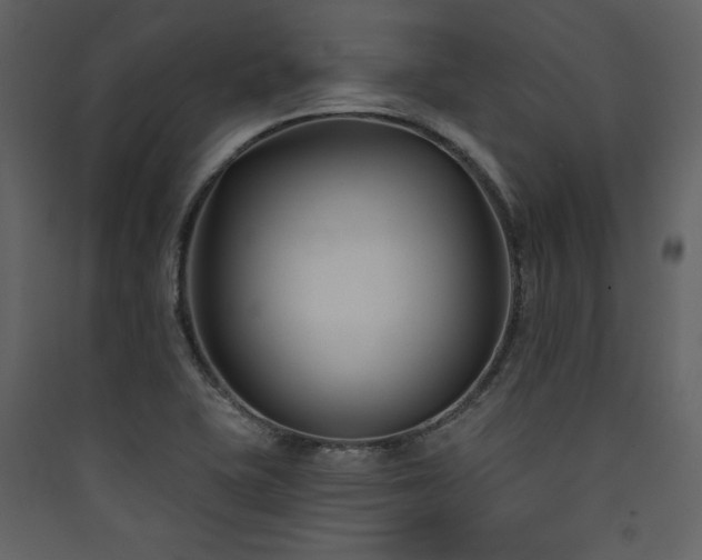 X0000090421415200707131159