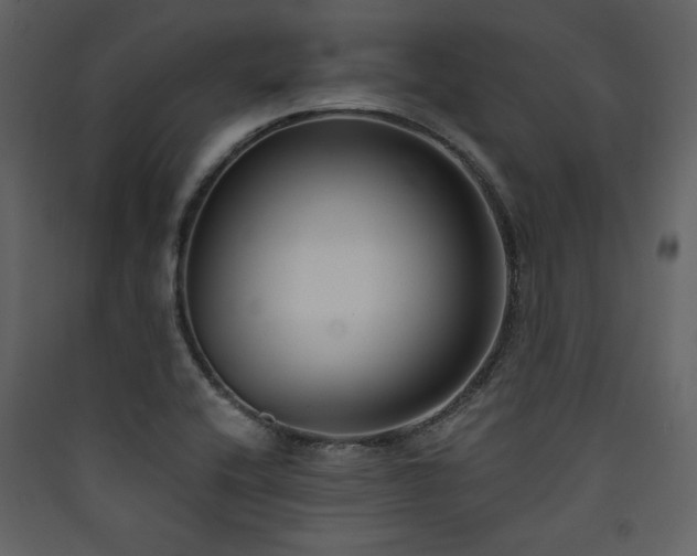 X0000090421416200707131159