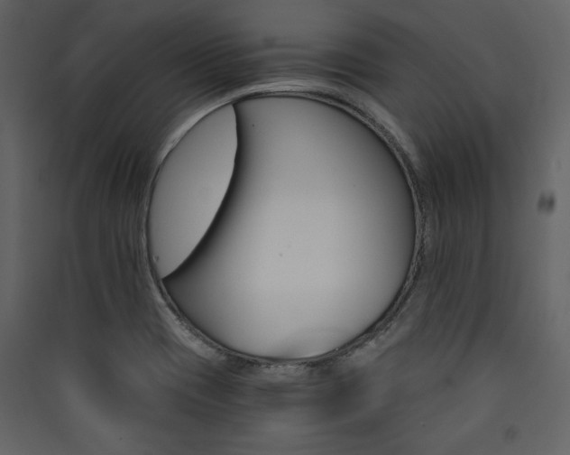 X0000090421417200707131159