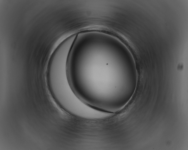 X0000090421418200707131159