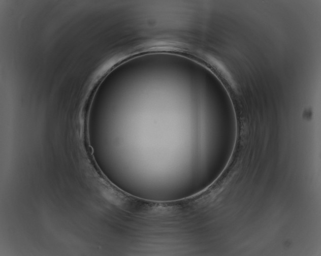 X0000090421419200707131159