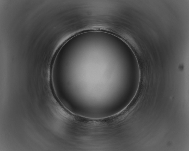 X0000090421420200707131159