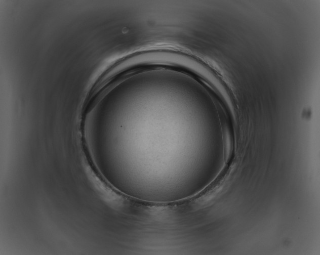 X0000090421422200707131159