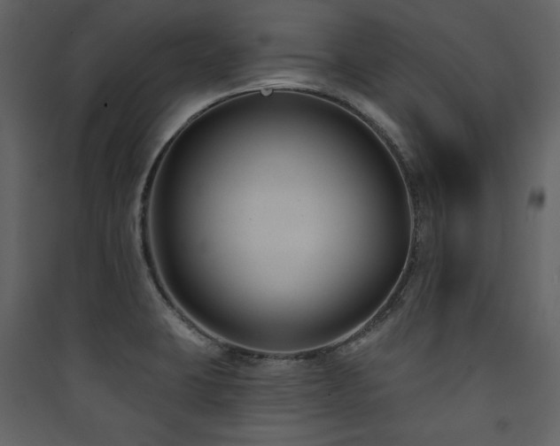 X0000090421423200707131159