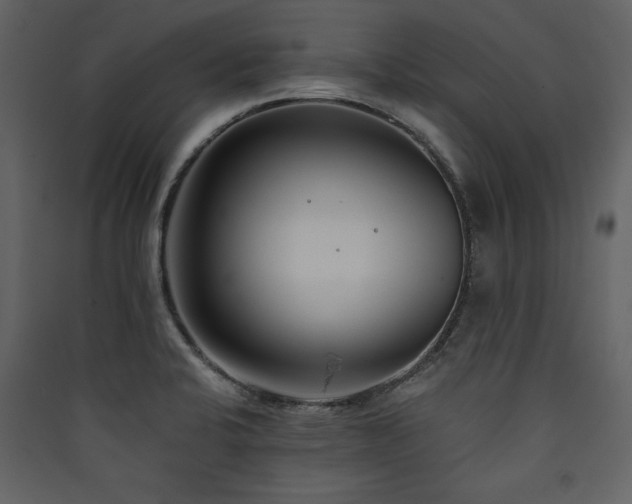X0000090421424200707131159