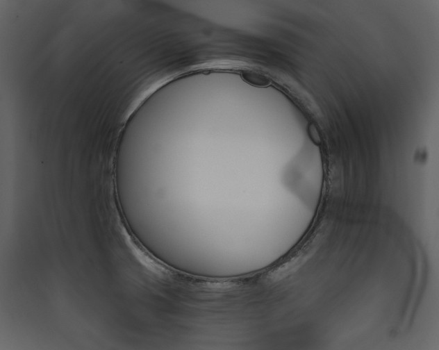 X0000090421425200707131159
