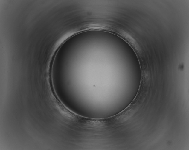 X0000090421427200707131159