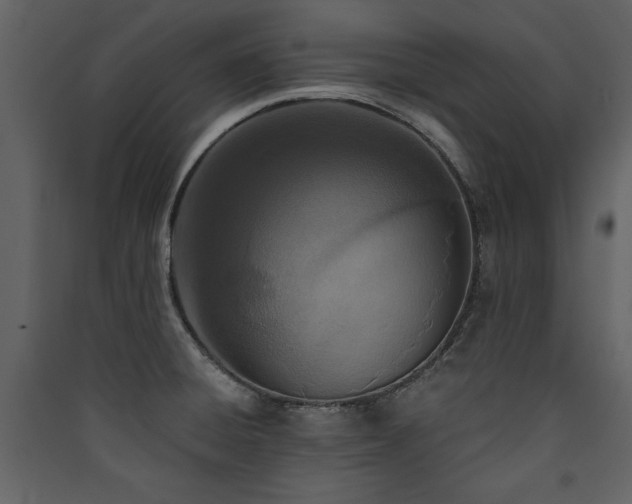 X0000090421428200707131159