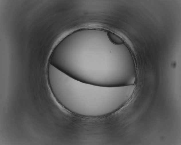 X0000090421429200707131159