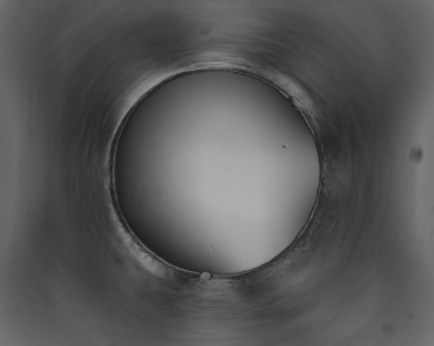 X0000090421431200707131159