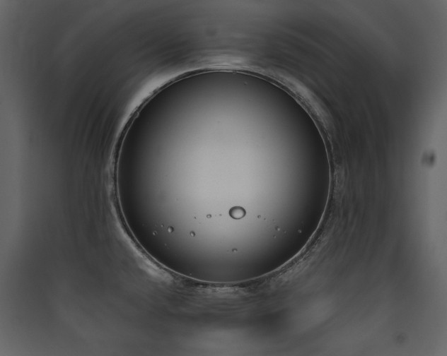X0000090421432200707131159
