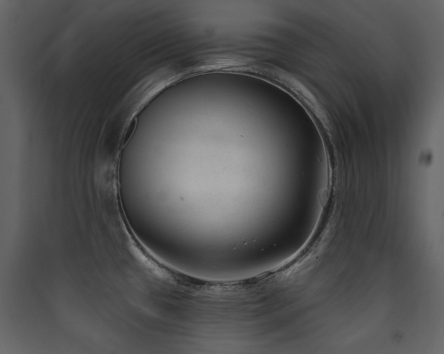 X0000090421433200707131159