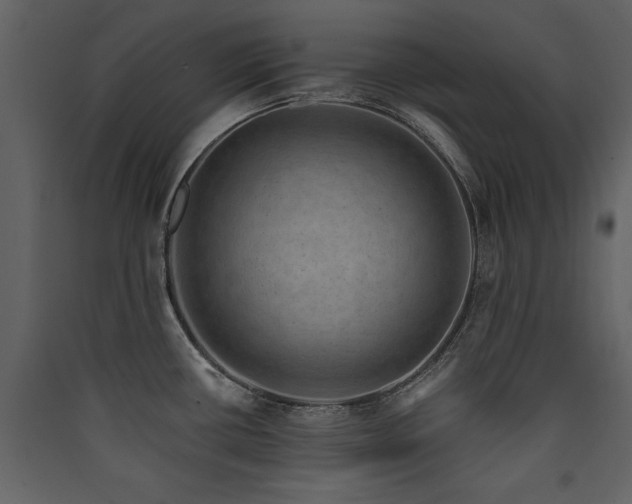 X0000090421434200707131159