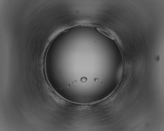 X0000090421435200707131159