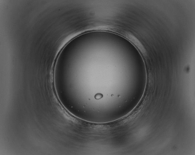 X0000090421436200707131159