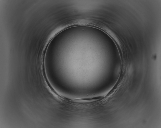 X0000090421437200707131159