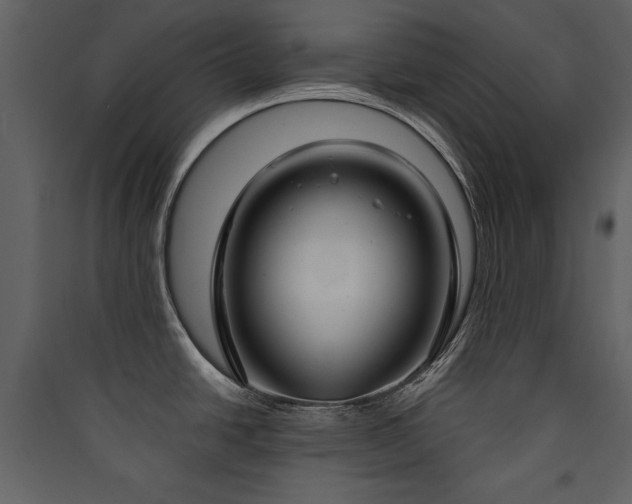 X0000090421438200707131159