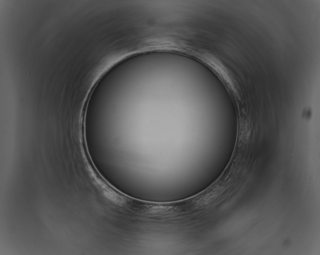 X0000090421439200707131159