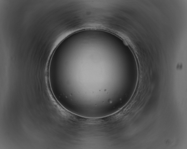 X0000090421440200707131159