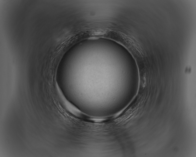 X0000090421441200707131158