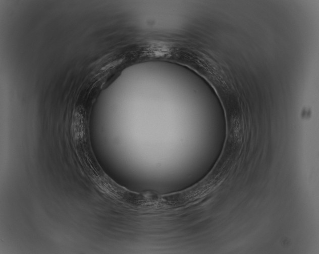 X0000090421442200707131158