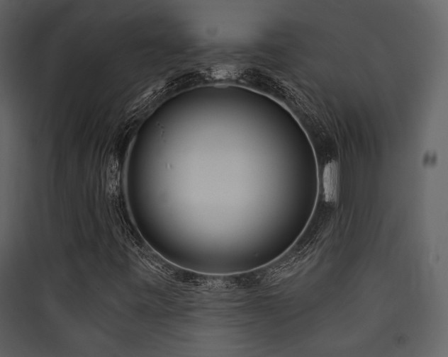 X0000090421443200707131158