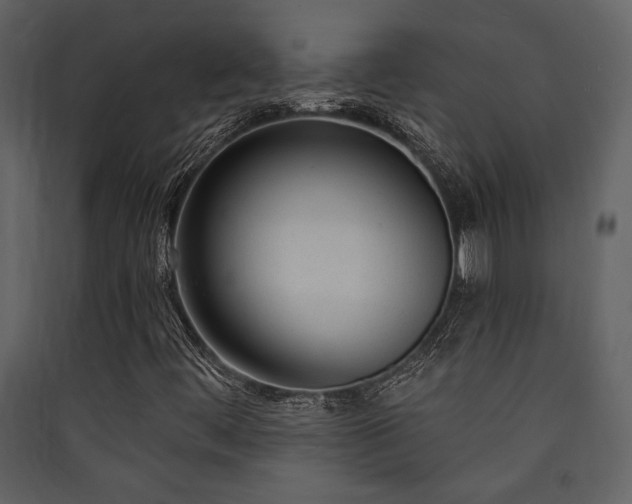 X0000090421444200707131158