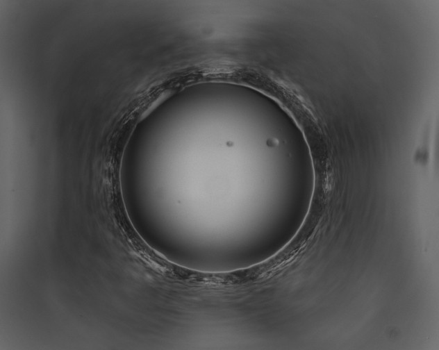 X0000090421445200707131158