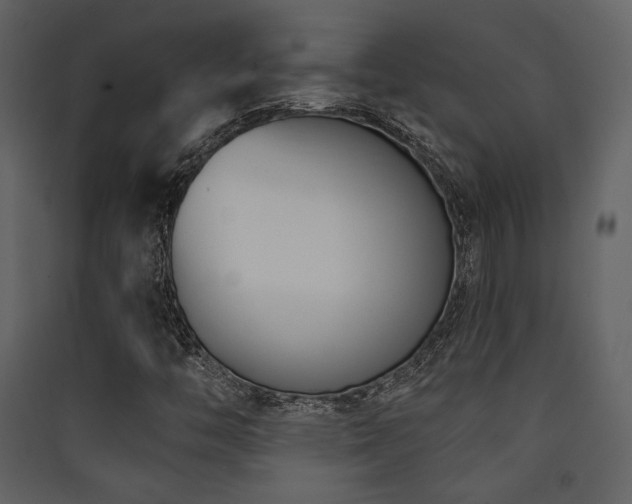 X0000090421446200707131158