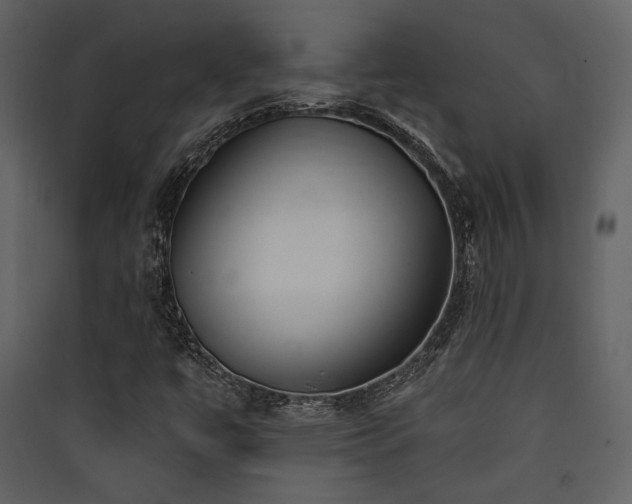 X0000090421447200707131158